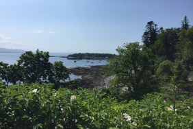 looking-at-aardvasar